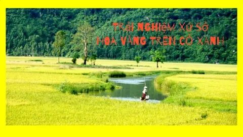 Trường học có phải sắp xếp, tinh gọn sau khi sáp nhập tỉnh và xã?