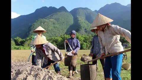 Ngọc Minh Chuyên ghi bàn, tuyển nữ Việt Nam thua đội bóng Đức